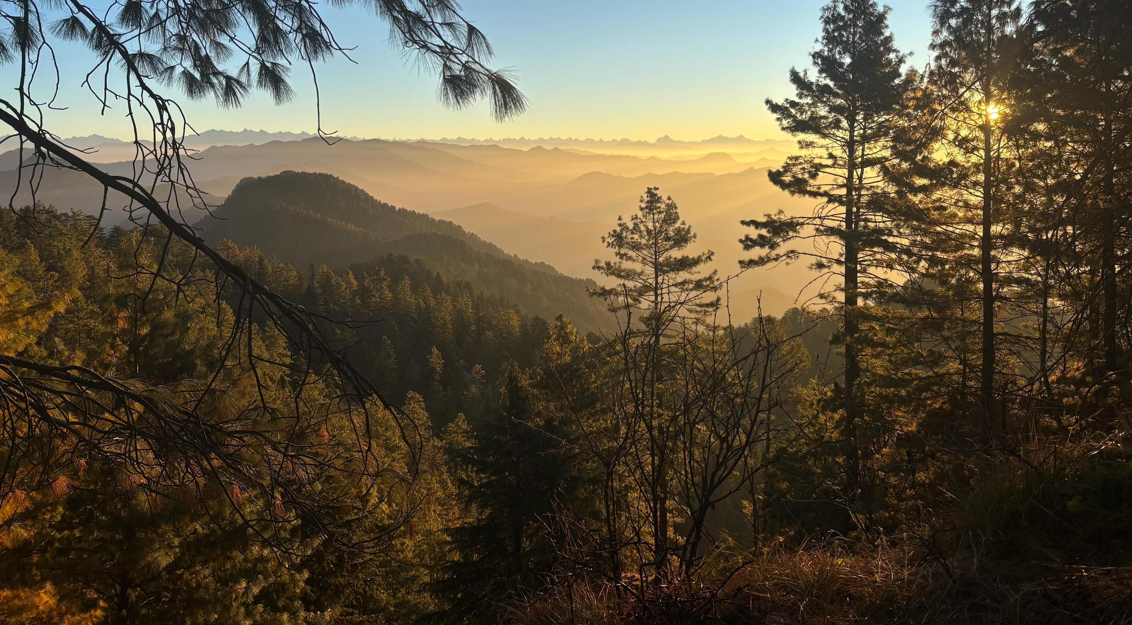 Luxury villa with infinity pool
